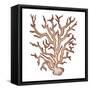 Coastal Icon Coral III-Elizabeth Medley-Framed Stretched Canvas