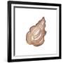 Coastal Icon Coral IX-Elizabeth Medley-Framed Art Print