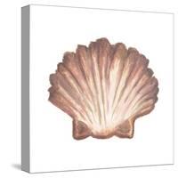 Coastal Icon Coral VI-Elizabeth Medley-Stretched Canvas