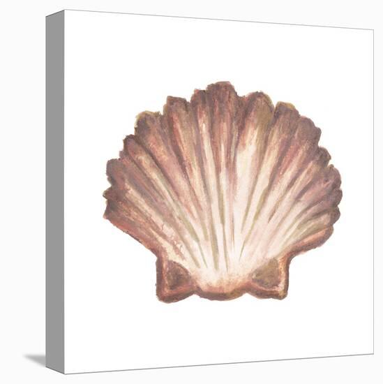 Coastal Icon Coral VI-Elizabeth Medley-Stretched Canvas