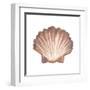 Coastal Icon Coral VI-Elizabeth Medley-Framed Art Print