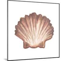 Coastal Icon Coral VI-Elizabeth Medley-Mounted Art Print