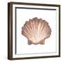 Coastal Icon Coral VI-Elizabeth Medley-Framed Art Print