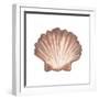 Coastal Icon Coral VI-Elizabeth Medley-Framed Art Print