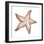 Coastal Icon Coral VII-Elizabeth Medley-Framed Premium Giclee Print