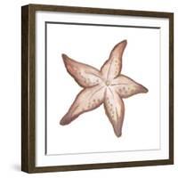 Coastal Icon Coral VII-Elizabeth Medley-Framed Art Print