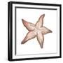 Coastal Icon Coral VII-Elizabeth Medley-Framed Art Print