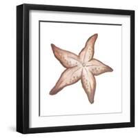 Coastal Icon Coral VII-Elizabeth Medley-Framed Art Print