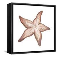 Coastal Icon Coral VII-Elizabeth Medley-Framed Stretched Canvas