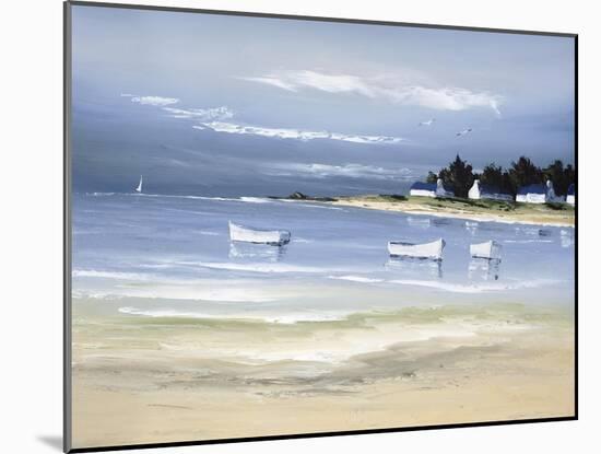 Coastal Inlet II-Frédéric Flanet-Mounted Premium Giclee Print