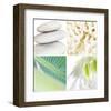 Coastal Inspiration-null-Framed Art Print