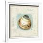 Coastal Jewels III-Lisa Audit-Framed Art Print