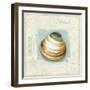 Coastal Jewels III-Lisa Audit-Framed Art Print