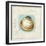 Coastal Jewels III-Lisa Audit-Framed Art Print