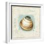 Coastal Jewels III-Lisa Audit-Framed Art Print