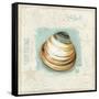 Coastal Jewels III-Lisa Audit-Framed Stretched Canvas