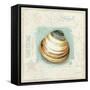 Coastal Jewels III-Lisa Audit-Framed Stretched Canvas