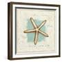 Coastal Jewels IV-Lisa Audit-Framed Art Print