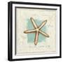 Coastal Jewels IV-Lisa Audit-Framed Art Print