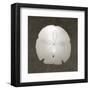 Coastal Keepsake-Erin Clark-Framed Art Print