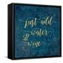 Coastal Lace Words-Jess Aiken-Framed Stretched Canvas