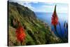 Coastal landscape and village of Paul do Mar, Madeira Island, Portugal-null-Stretched Canvas