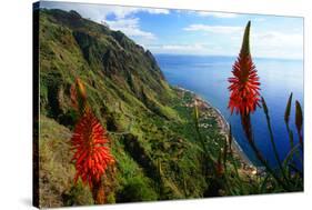 Coastal landscape and village of Paul do Mar, Madeira Island, Portugal-null-Stretched Canvas