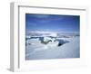 Coastal Landscape, Antarctic Peninsula, Antarctica, Polar Regions-Geoff Renner-Framed Photographic Print