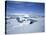 Coastal Landscape, Antarctic Peninsula, Antarctica, Polar Regions-Geoff Renner-Stretched Canvas