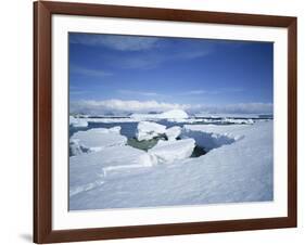 Coastal Landscape, Antarctic Peninsula, Antarctica, Polar Regions-Geoff Renner-Framed Photographic Print