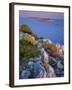 Coastal Landscape, Kornati National Park, Mana Island, Croatia, May 2009 Wwe Book-Popp-Hackner-Framed Photographic Print