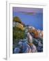 Coastal Landscape, Kornati National Park, Mana Island, Croatia, May 2009 Wwe Book-Popp-Hackner-Framed Photographic Print