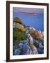 Coastal Landscape, Kornati National Park, Mana Island, Croatia, May 2009 Wwe Book-Popp-Hackner-Framed Photographic Print