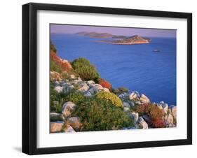 Coastal Landscape, Kornati National Park, Mana Island, Croatia, May 2009. Wwe Indoor Exhibition-Popp-Hackner-Framed Premium Photographic Print