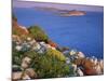 Coastal Landscape, Kornati National Park, Mana Island, Croatia, May 2009. Wwe Indoor Exhibition-Popp-Hackner-Mounted Photographic Print