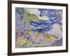 Coastal Landscape, (Le Cap Layet, Petite Version), Um 1904-Henri Edmond Cross-Framed Giclee Print