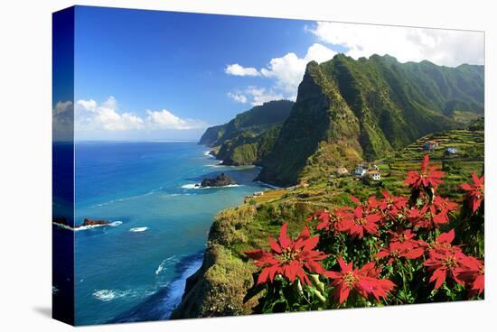 Coastal landscape near Boa Ventura, Madeira Island, Portugal, composing-null-Stretched Canvas