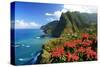 Coastal landscape near Boa Ventura, Madeira Island, Portugal, composing-null-Stretched Canvas