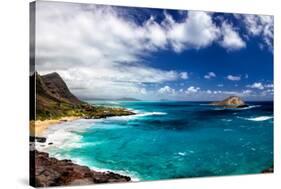 Coastal Landscape Near Makapuu Beach at the East Coast of Oahu, Hawaii, USA-Dirk Rueter-Stretched Canvas