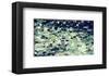 Coastal Landscape-Margaret Juul-Framed Giclee Print