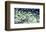 Coastal Landscape-Margaret Juul-Framed Giclee Print