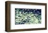 Coastal Landscape-Margaret Juul-Framed Art Print