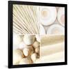 Coastal Life-null-Framed Premium Giclee Print