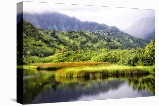 Coastal Marsh II-Danny Head-Stretched Canvas