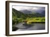 Coastal Marsh V-Danny Head-Framed Photographic Print