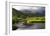 Coastal Marsh V-Danny Head-Framed Photographic Print