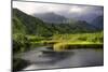 Coastal Marsh V-Danny Head-Mounted Photographic Print