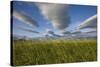 Coastal Meadow at Hallo Bay in Katmai National Park-Paul Souders-Stretched Canvas