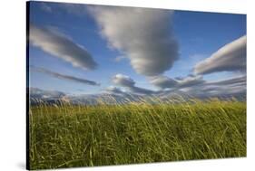 Coastal Meadow at Hallo Bay in Katmai National Park-Paul Souders-Stretched Canvas