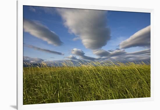 Coastal Meadow at Hallo Bay in Katmai National Park-Paul Souders-Framed Photographic Print